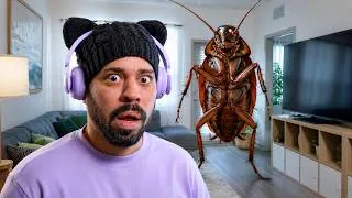 Thumbnail: Una Cucaracha GIGANTE en mi Casa! 🪳😱