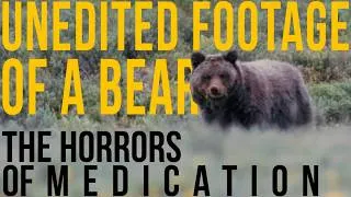 Thumbnail: The HORRORS of Medication | Unedited Footage of a Bear