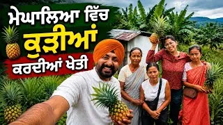 Thumbnail: ਮੇਘਾਲਿਆ ਵਿੱਚ ਕੰਮ ਪੁੱਠਾ ਚੱਲਦਾ  Pineapple Farming | Punjabi Travel Couple | Ripan Khushi