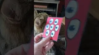 Thumbnail: the eyes have it #art #handmade #tradingcards