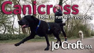Thumbnail: Everything you need to know about Canicross | Running with your dog