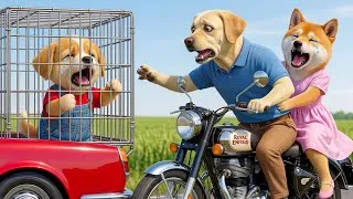 Thumbnail: 😱Baby Puppy Kidnapped During a Family Picnic! 🚨 Brave Parents & Police Save Him Just in Time 🐶❤️