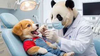 Thumbnail: The Night of Candy Turns into a Dental Nightmare 😱🍭Baby Puppy Learns Why Brushing Matters 🪥🐶