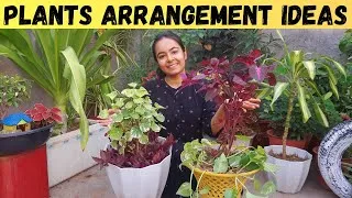 Thumbnail: ये तरीका आपके गार्डन की खूबसूरती को चार चाँद लगा देगा | 2-IN-1 Plants Arrangement Ideas | Garden DIY