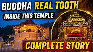 Thumbnail: Nuwara Eliya to Kandy | Tea Factory Tour | Tooth Relic Temple Full Story | Kandy Botanical Garden