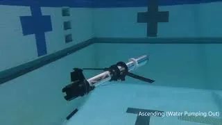 Thumbnail: DESIGN AND DEVELOPMENT OF A MULTIMODAL UNDERWATER ROBOT: ANALL-IN-ONE DRIFTER, GLIDER, AND THRUSTER