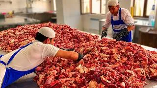 Thumbnail: 3 TONS Every Day! Samarkand’s Most Popular Food | Why Does EVERYONE Love It?