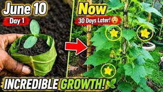 Thumbnail: WOW! Look at the Growth... 🌿 A Productive Day in My Garden😊☘️