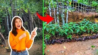 Thumbnail: 🌿 Overgrown Yard Cleanup | Peaceful Garden Transformation 🌿