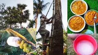 Thumbnail: Pure palm🌴jaggery, collected from the rural environment, is a delicious food