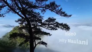 Thumbnail: beautiful cinematic view above the clouds in the morning with the sound of birds chirping