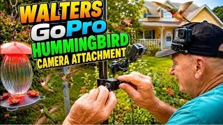 Thumbnail: Walters GoPro, Hummingbird Camera, Attachment 7 10 2026