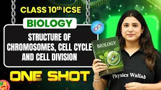 Thumbnail: Structure of Chromosomes | Cell Cycle & Cell Dvision | Class 10 Biology in One Shot |By Upsana Ma'am