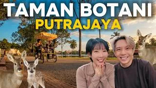 Thumbnail: Free Deer Park In Malaysia?
