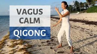 Thumbnail: VAGUS CALM | QIGONG