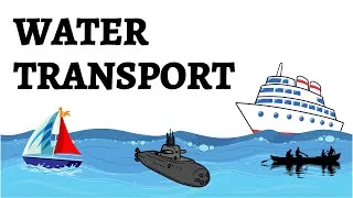 Thumbnail: What Is Water Transportation? | Water Transport with Real-Life Examples || QnA Explained