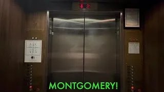 Thumbnail: MODERNIZED 1973 Montgomery Traction Elevators at the DoubleTree by Hilton In Oak Brook, IL
