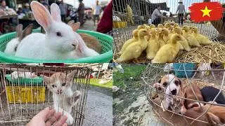 Thumbnail: Inside Vietnam's Most Famous Animal Market | Quang Nguyen Travel & Farm Life