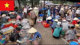 Thumbnail: Hidden Vietnam Market – Fresh Seafood and Authentic Rural Life in Thanh Hoa 🇻🇳