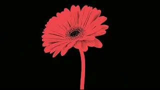 Thumbnail: Forgiveness: An Antidote To Shame