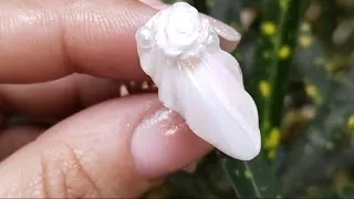 Thumbnail: Shell Nail Art Tutorial For Beginners Step By Step At Home 💅🏡| Easy 3D Shell Nail Art 🌸 #nailart 