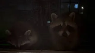 Thumbnail: Guests 