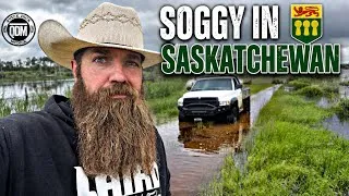 Thumbnail: Soggy In Saskatchewan 