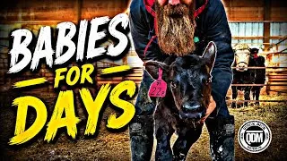 Thumbnail: Babies for DAYS!! 