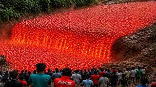 Thumbnail: Most Unbelievable Nature Moments Ever Caught on Camera