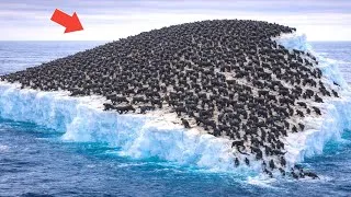 Thumbnail: Most Unbelievable Moments Ever caught on camera 