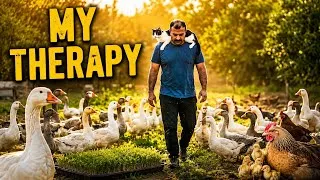 Thumbnail: This Is My Therapy After a Bad Day | Slow Farm Life | Geese, Ducks & Chickens at Peaceful Homestead