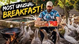 Thumbnail: Slow Morning Cooking Between Hungry Geese And Chicken
