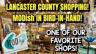 Thumbnail: A Must-Visit Shop in Bird-in-Hand, PA | MODish