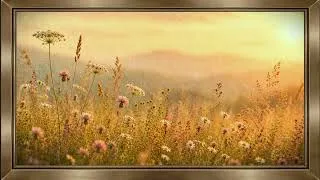 Thumbnail: 4K Silent Tv Art | Wildflower Meadow | Summer Flowers | Framed Wallpaper