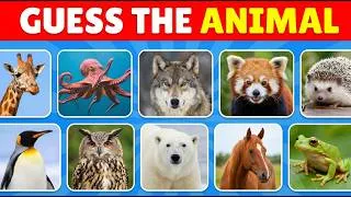 Thumbnail: GUESS THE ANIMAL IN 3 SECONDS! 🐾 (99% FAIL)