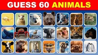 Thumbnail: Guess 60 Animals in 3 Seconds | Easy, Medium, Hard 🐶🐱 Quiz Luna