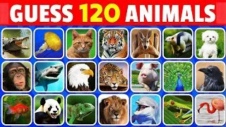 Thumbnail: Guess The Animal in 3 Seconds 🐼🐾 | Easy to Hard | Animal Quiz