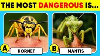 Thumbnail: How Good Is Your Knowledge of ANIMALS? 🦂🐍🥶 General Knowledge Trivia Quiz