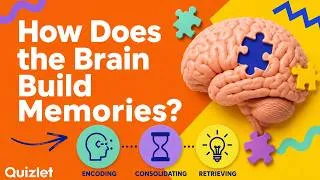 Thumbnail: How Memory Works (Encoding, Consolidation and Retrieval)