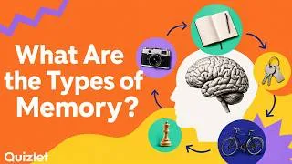 Thumbnail: Types of Memory Explained (Short-Term, Working and Long-Term Memory)