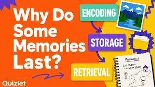 Thumbnail: How We Make Memories (Encoding, Storage and Retrieval Explained)
