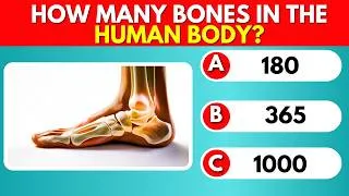 Thumbnail: General Knowledge Quiz | Test Your Brain!