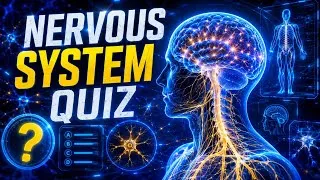 Thumbnail: Best for Students - Nervous System Quiz