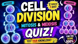 Thumbnail: Cell Division (Mitosis and Meiosis) Quiz - Best Exam Review for Students /Kids
