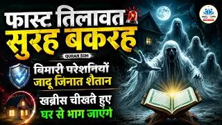 Thumbnail: The Great Surah Al Baqarah tilawat 42 min🕌 Fast tilawat Surah Baqarah 🕌 سورۃ البقرہ #quran 50MQuran