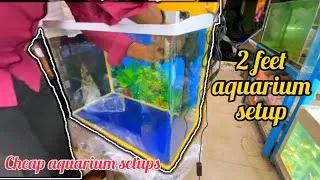Thumbnail: 2feet aquarium setups | modular aquarium setups | cheap aquarium #petsvlog #aquariumsetup
