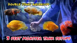 Thumbnail: How to setup 3 feet aquarium | 3 feet monster tank setups | #petsvlog #petlover #aquariumsetup