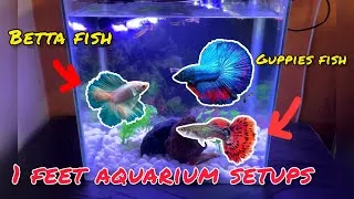 Thumbnail: How to setup 1 feet aquarium tank | guppy fish tank setup| #guppyfish #petsvlog #petlover
