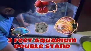 Thumbnail: 3 feet aquarium setups | monstertank setups | sand decorations | #petsvlog #fishlover #aquariumsetup