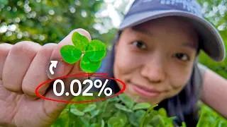 Thumbnail: How to Find a 4-Leaf Clover